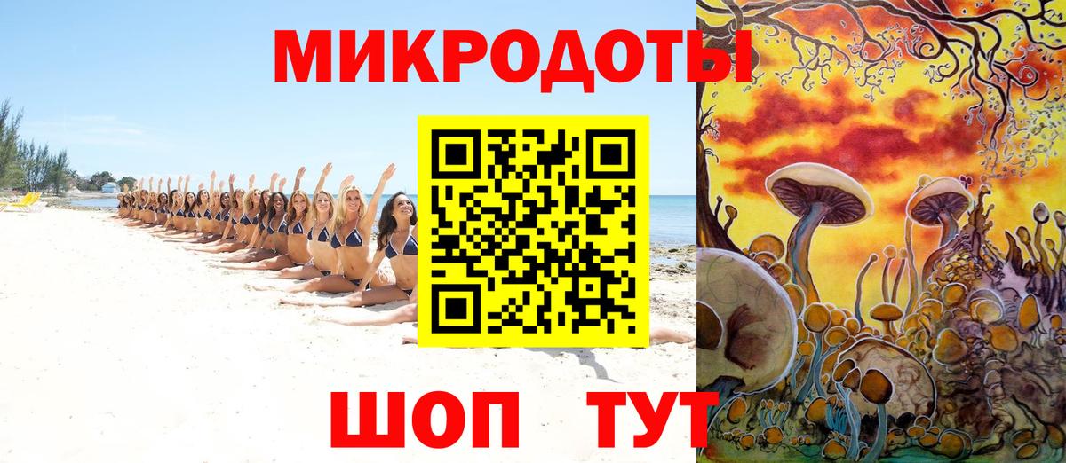 Псилоцибиновые грибы Cubensis Гусев