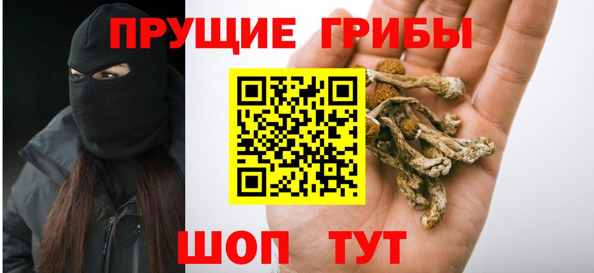 Гусев  Галлюциногенные грибы GOLDEN TEACHER  Вход с VPN  Псилоцибиновые грибы Cubensis 