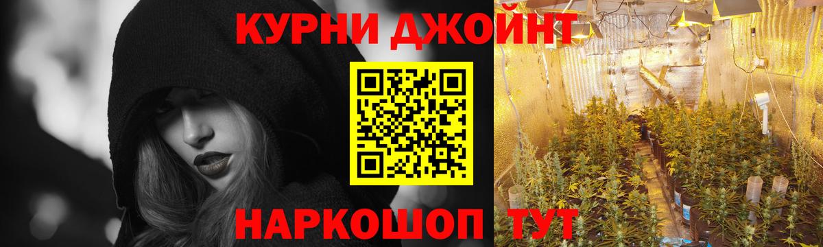 Бошки Шишки ГИДРОПОН Гусев